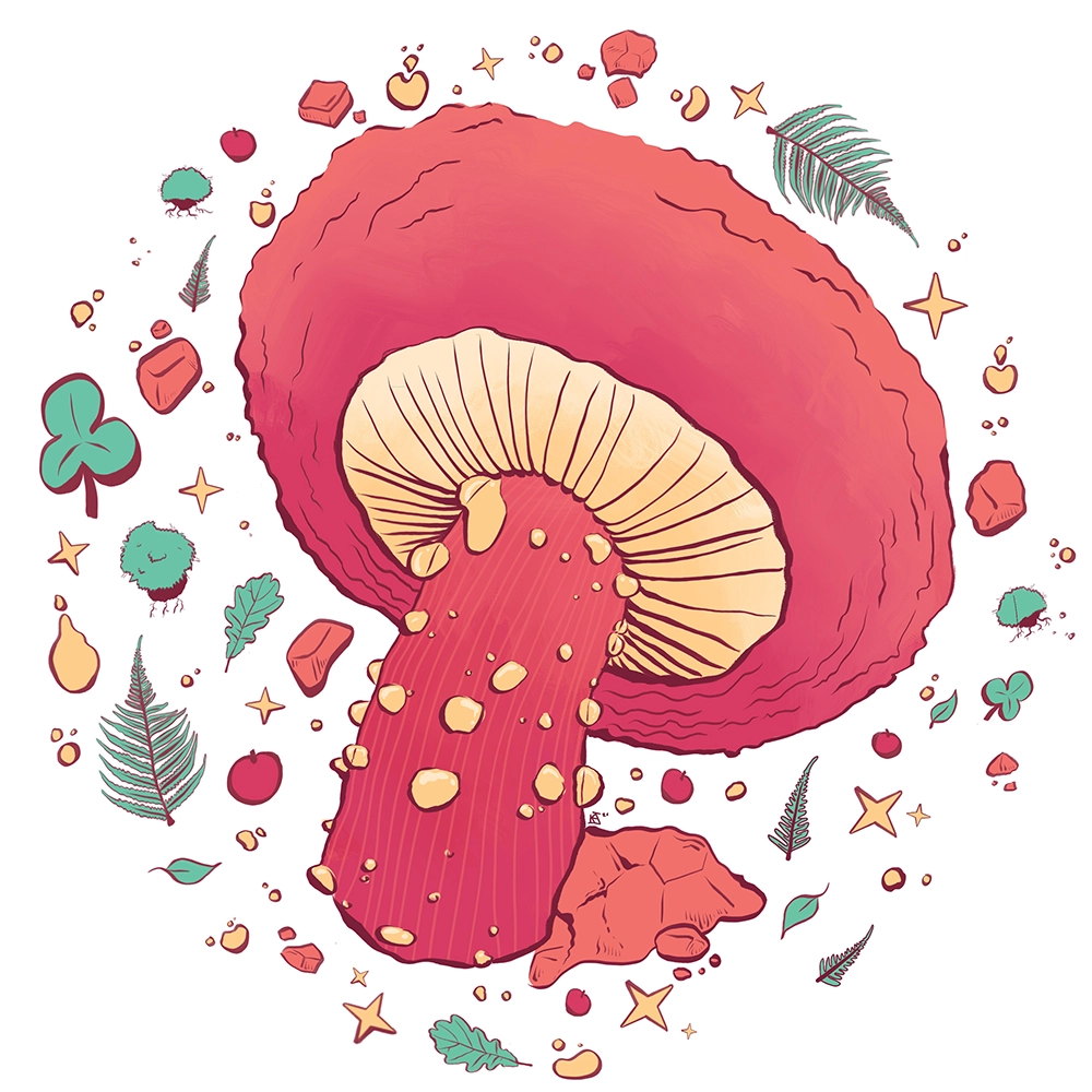 digital painting of a pink mushroom