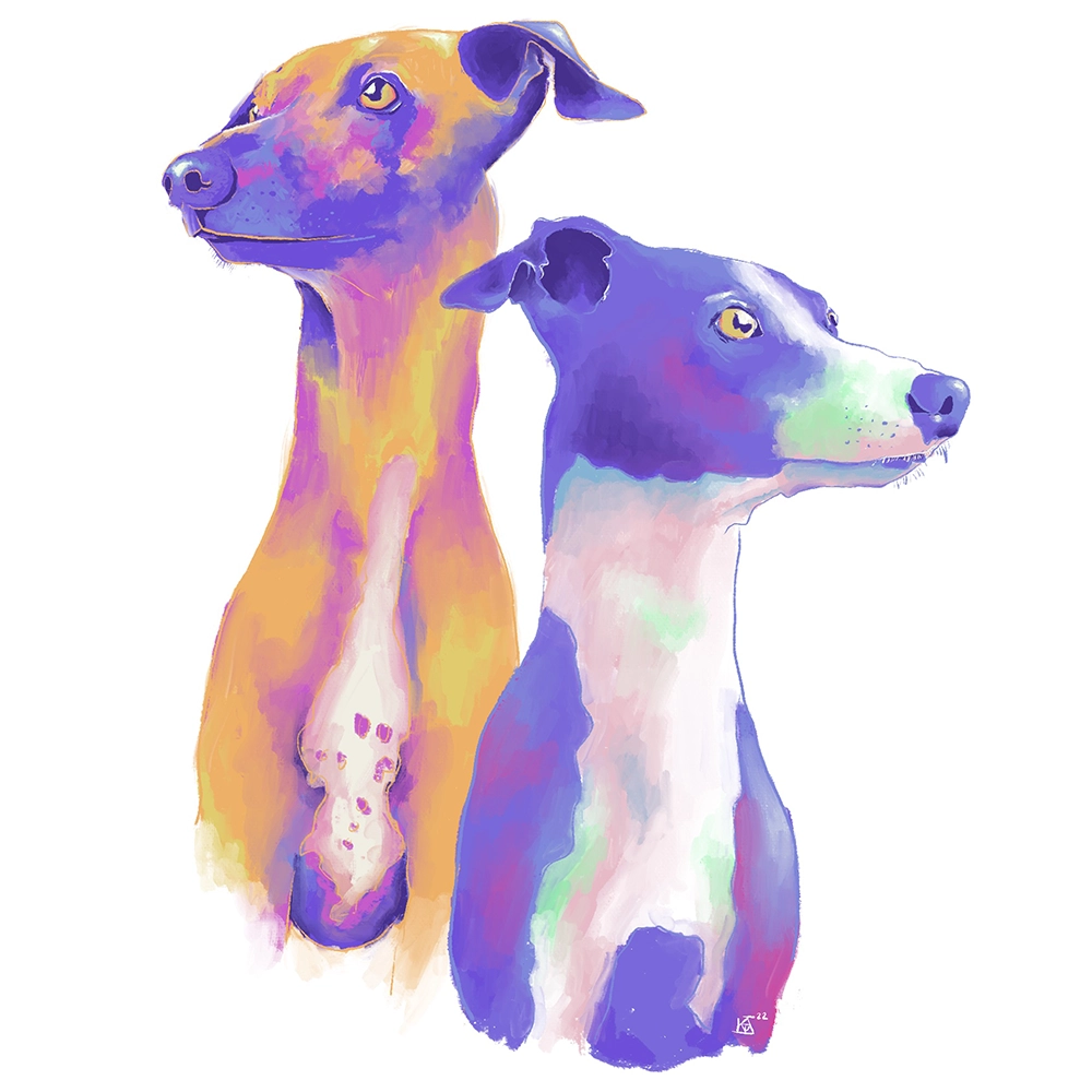 colourful digital painting of two whippets